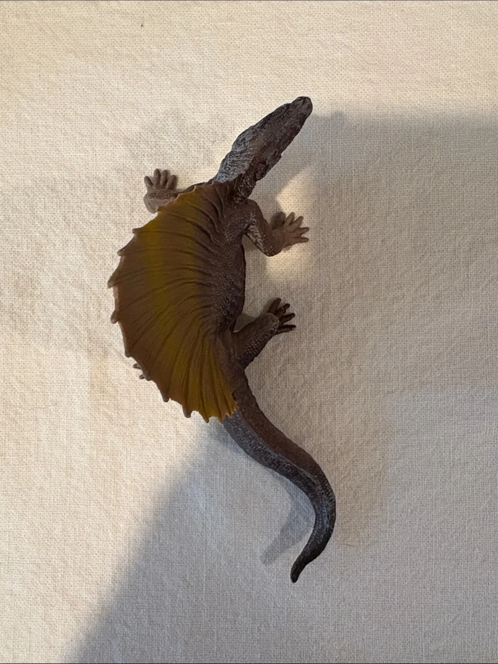 Source Unknown dinosaur brown